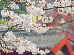 -鸡鸣寺