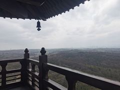 -宜兴龙背山森林公园