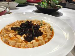 麻婆豆腐海参-好福记饭店(红梅公园店)