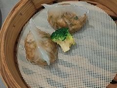 -东方御宴海鲜酒楼(棕泉酒店)