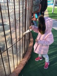 -萌宠亲子动物乐园(槐房万达店)