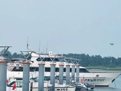 -巧克力渔家.小船海鲜胶东菜(万平口店)