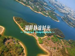 -东莞松山湖凯悦酒店