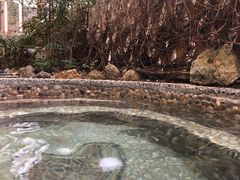 -宁海森林温泉
