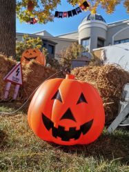 -Early Rider 儿童自行车(蓝色港湾店)