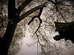 -西安化觉巷清真大寺