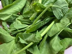 豌豆尖-茶马古道·野生菌清汤黄牛肉(沙溪店)