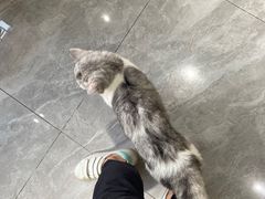 -猫小院猫主题餐厅(南锣旗舰店)