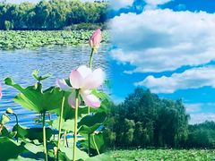 -东郊湿地公园