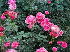 -人民公园(罗湖区)