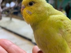 -上海大自然野生昆虫馆(东方明珠·爬宠昆虫探索中心)