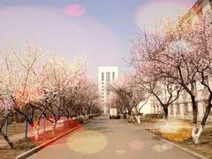 -沈阳职业技术学院