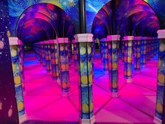 -天津梵高星空艺术馆(天河城旗舰店)