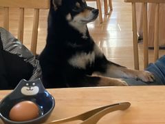 -柴の食堂·日式家庭料理·熊之肆(大学路店)