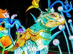 -海合安武汉极地海洋公园