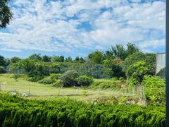 -济南野生动物世界