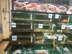 -琼大师东方烤乳猪(亚特兰蒂斯店)