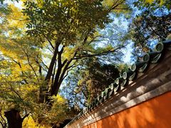 -北京国子监胡同