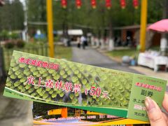 -渌洋湖湿地公园