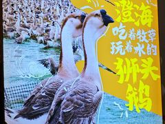 -陆记鹅庄·潮汕菜·狮头鹅(大仟里店)