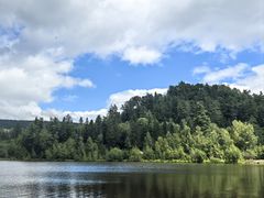 -五营红松林海景区