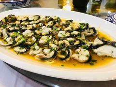 -呼吸森林·生态农庄农家乐私房菜