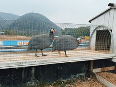 -宁波九龙湖开元度假村