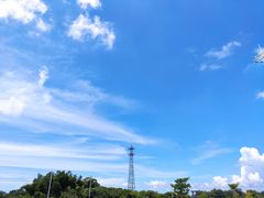 -麦当劳(电白服务区店)