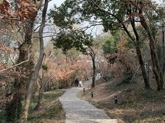 -虞山风景区