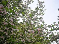 -浙江西子宾馆·瑶园咖啡厅