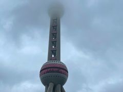 -上海海洋水族馆