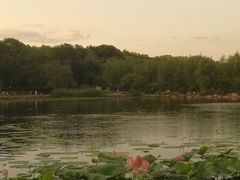 -长春市南湖公园