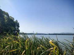 -东湖落雁景区