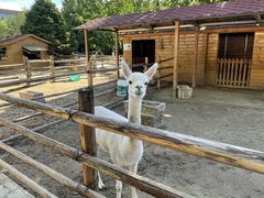 -北京市海淀外国语实验学校