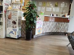 -爱侣·安琦尔宠物医院·中兽医针灸·心内科·狂犬免疫点(宝山区院)