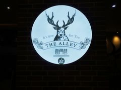 -鹿角巷The Alley(龙湖天街店)