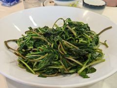 -丁老爷子苏香圆