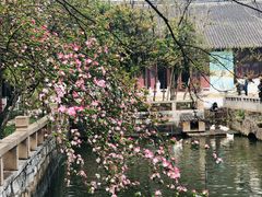 -苏州文庙(姑苏区)