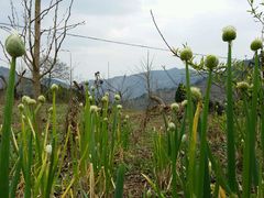 -金堂县云顶石城风景区