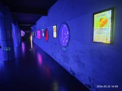 -深圳野生动物园