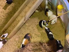 -正佳雨林生态植物园