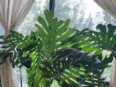 -太守宴·蘭院(天塔店)