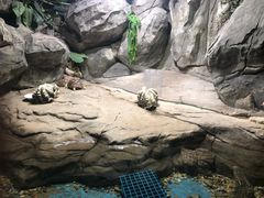 -苏州海洋馆