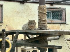 -青藏高原野生动物园