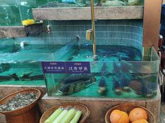 -鱼你相聚·河鲜馆(袁家岭店)