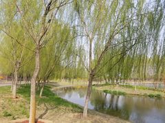 -东郊湿地公园