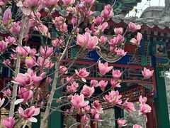 -红螺寺