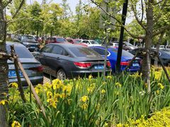 -上海浦江郊野公园·1号停车场