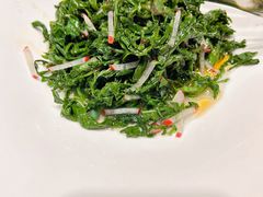 清拌野苦菜-九十九顶毡房(清河店)