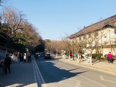 -鸡鸣赐茶(鸡鸣寺路店)